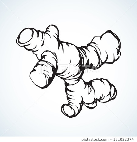 Ginger. Vector drawing Ginger. Vector drawing 131022374