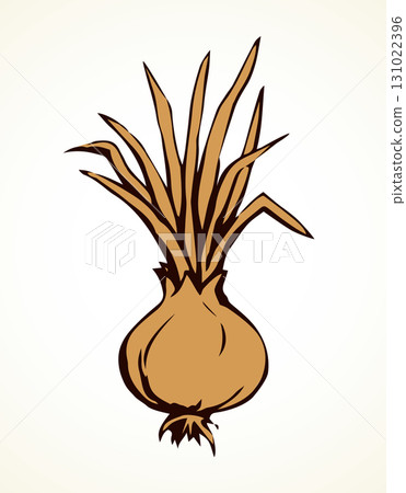 Onion. Vector drawing icon sign 131022396