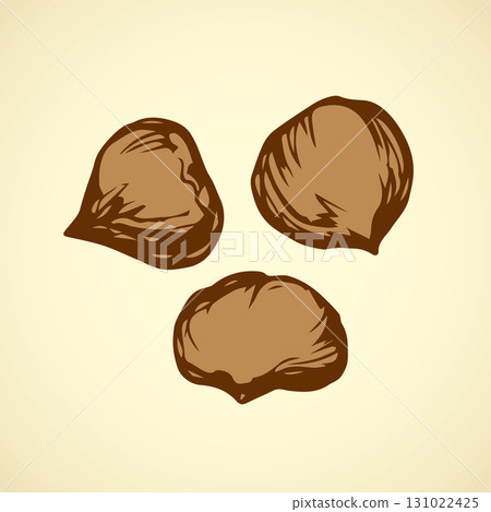 Chestnut. Vector drawing Chestnut. Vector drawing 131022425