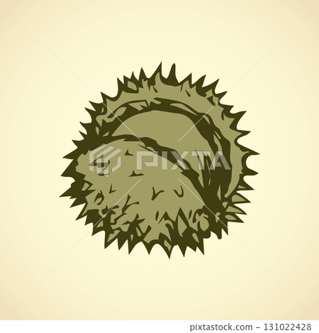 Chestnut. Vector drawing Chestnut. Vector drawing 131022428