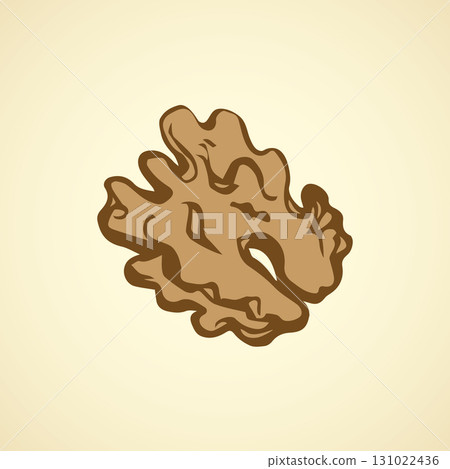 Walnut. Vector drawing Walnut. Vector drawing 131022436