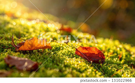 [AI image] Autumn leaves falling on moss in an autumn forest 131022966