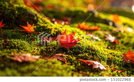 [AI image] Autumn leaves falling on moss in an autumn forest 131022968