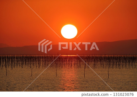 大牟田市有明海紫菜場, 大牟田市有明海紫菜場, 131023076