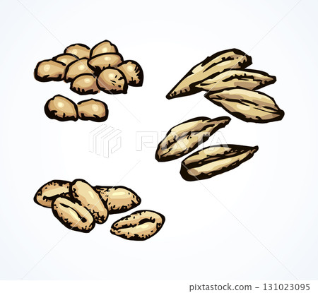 Vector illustrations of archaeological finds. Remains of linen, fruit stones and seeds Vector illustrations of archaeological finds. Remains of linen, fruit stones and seeds 131023095