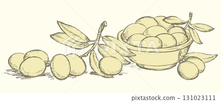 Vector drawing. Still life of bowl with fruits and olives sprigs 131023111