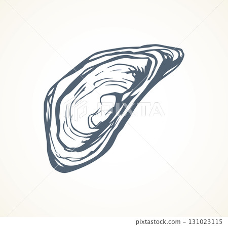 Oyster. Vector drawing Oyster. Vector drawing 131023115