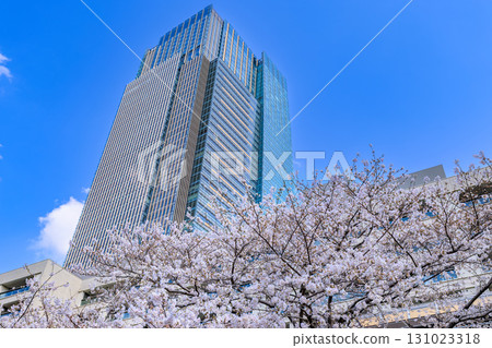 Tokyo Midtown and cherry blossoms in Akasaka, Minato Ward, Tokyo 131023318