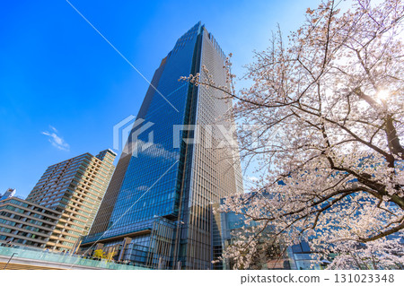 東京中城和東京港區赤坂的櫻花 東京中城和東京港區赤坂的櫻花 131023348