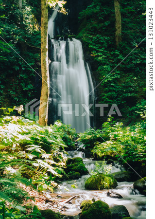 Oirase stream Falls in Yunii Oirase stream Falls in Yunii 131023443