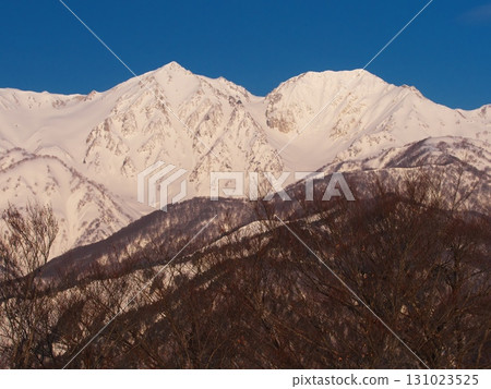 View of Mt. Shakushi and Mt. Yari from the summit of the Nokamo 1 lift at Hakuba Iwatake Snowfield 131023525