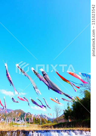 Carp streamer, carp streamer, carp banner, Takase River, Yamagata City 131023542