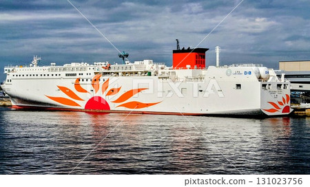 sunflower sunflower 131023756