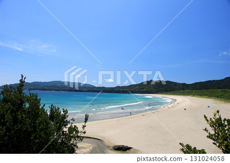 鮮綠色海和白色沙子海灘 鮮綠色海和白色沙子海灘 131024058