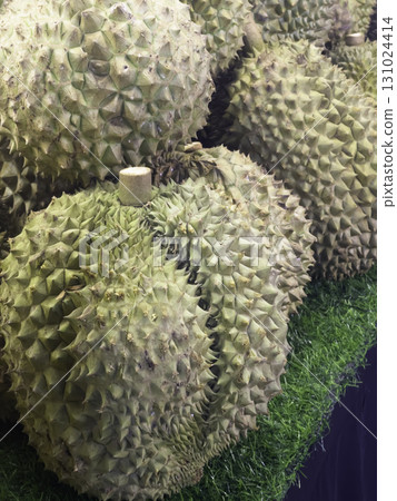 Fresh open durian fruit fresh tropical exotic 131024414