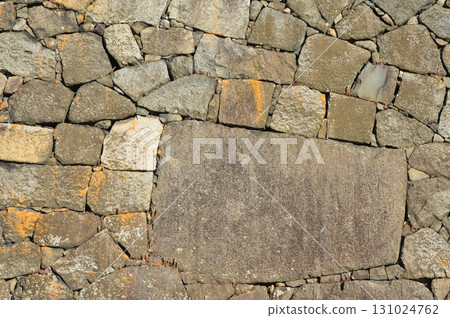 石牆（愛知縣名古屋市中區名古屋城） 131024762