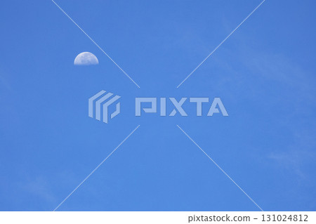 白色春月：天香聖郎愛的聖郎月領 131024812