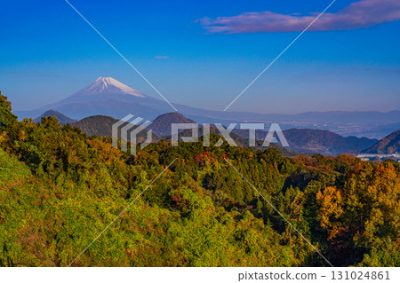 [Shizuoka] Mt. Fuji seen from Katsuragi in autumn 131024861