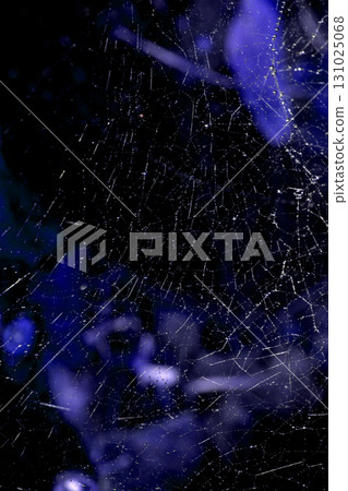 Spooky spiderweb spider web with water droplets close up background Spooky spiderweb spider web with water droplets close up background 131025068