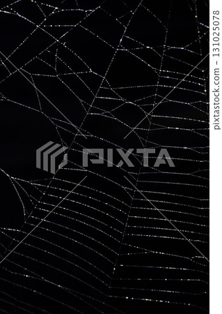 Spooky spiderweb spider web with water droplets close up background Spooky spiderweb spider web with water droplets close up background 131025078