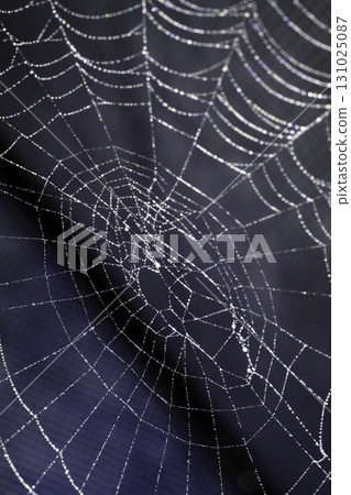 Spooky spiderweb spider web with water droplets close up background Spooky spiderweb spider web with water droplets close up background 131025087