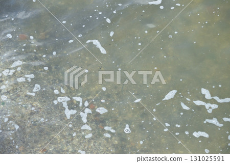 海 海 131025591