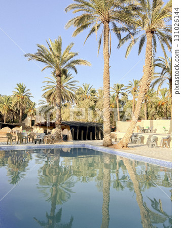 Relaxing oasis in Tunisia features a serene swimming pool surrounded by palm trees and clear blue 131026144