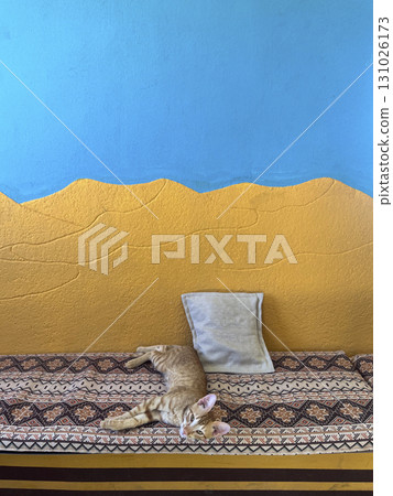Relaxing orange cat lying on a patterned sofa in a colorful room in Tunisia during daytime Relaxing orange cat lying on a patterned sofa in a colorful room in Tunisia during daytime 131026173