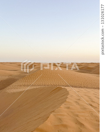 Vast golden dunes of Douz in the Tunisian desert under a clear blue sky Vast golden dunes of Douz in the Tunisian desert under a clear blue sky 131026177