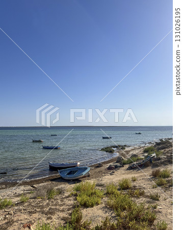 Fishing boats on the serene shores of Djerba, Tunisia under a clear blue sky during a calm day at 131026195