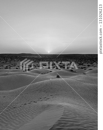 Vast golden dunes of Douz in the Tunisian desert under a clear blue sky Vast golden dunes of Douz in the Tunisian desert under a clear blue sky 131026213