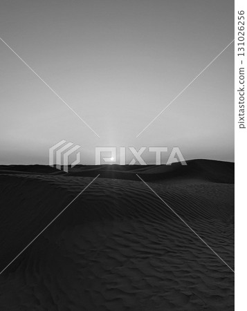 Vast golden dunes of Douz in the Tunisian desert under a clear blue sky Vast golden dunes of Douz in the Tunisian desert under a clear blue sky 131026256