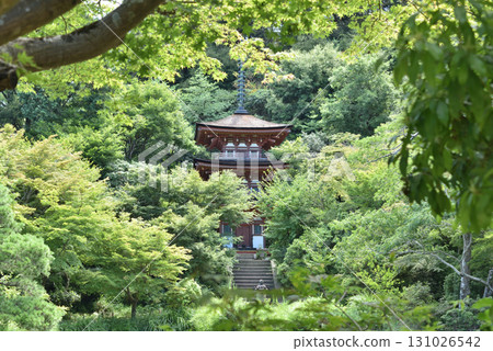淨琉璃寺的夏天：國寶三重塔（京都府木津川市） 131026542