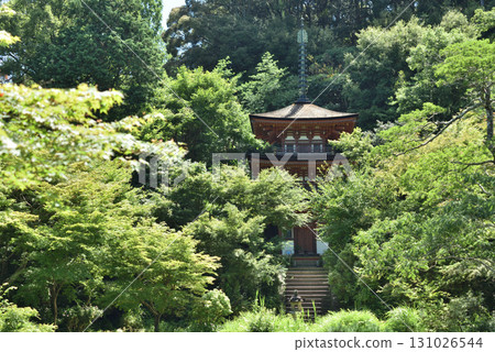 Summer at Joruriji Temple: National Treasure Three-story Pagoda (Kizugawa City, Kyoto Prefecture) 131026544