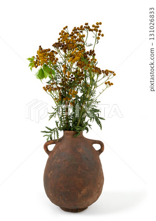 Vase with flowers on a white background. Vase with flowers on a white background. 131026833