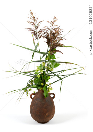 Vase with flowers on a white background. Vase with flowers on a white background. 131026834
