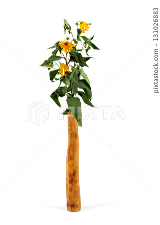 Vase with flowers on a white background. 131026883