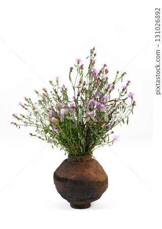 Vase with flowers on a white background. 131026892