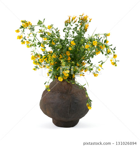 Vase with flowers on a white background. 131026894