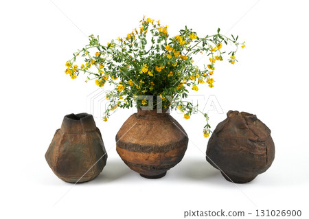 Vase with flowers on a white background. Vase with flowers on a white background. 131026900