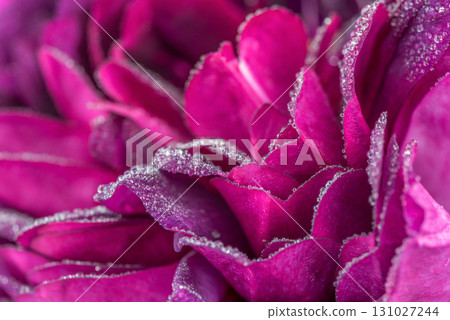 A close up of a pink flower with frosting on it A close up of a pink flower with frosting on it 131027244