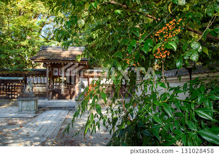 京都御苑的宗像神社 131028458