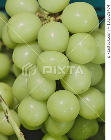 Close-up of freshly picked Shine Muscat grapes Close-up of freshly picked Shine Muscat grapes 131028474