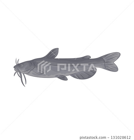 Illustration of catfish Illustration of catfish 131028612