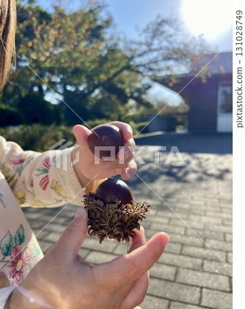 一個小孩雙手捧著一顆大橡樹果實 131028749