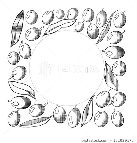Olive oil design template. Olive green berry and leaves square circle round frame template. Vector graphic line ink black and white illustration. Banner, product packaging, design concept. 131029173