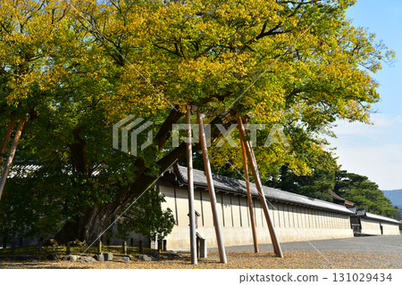 Ryou of Kiyomoriya Shimizuya family 131029434