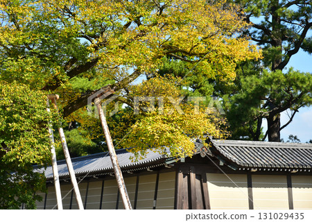 Kiyomoriya Shimizuya家族的Ryou 131029435