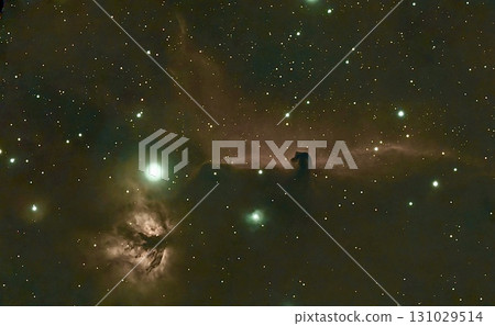 Horse head nebula 131029514