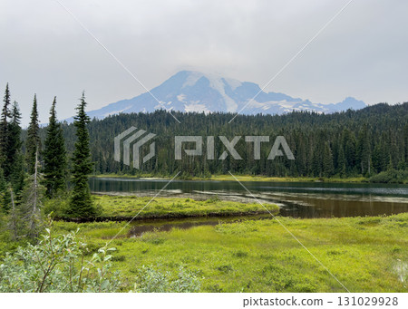 雷尼爾山和倒影湖，雷尼爾山國家公園，八月下旬 131029928